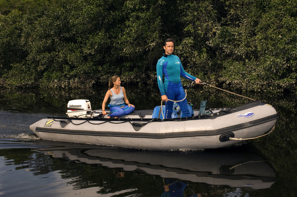Fabien and Céline Cousteau look for the elusive killer jellyfish