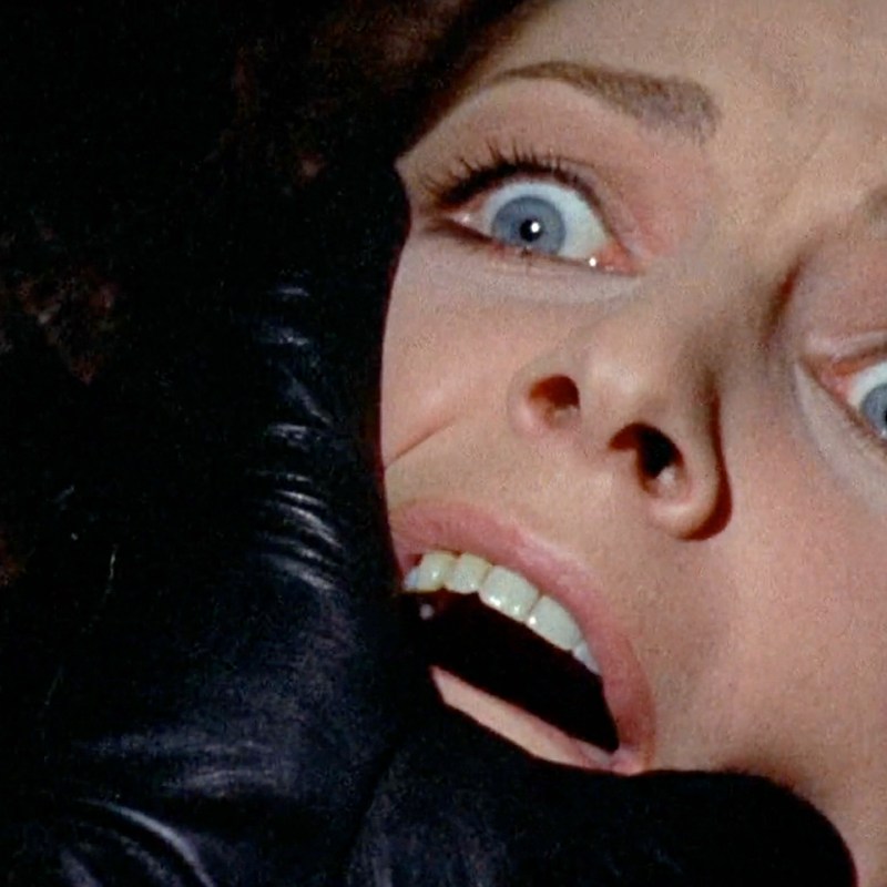 The Bird with the Crystal&nbsp;Plumage